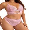 2024 Nuevo Traje Sexy de Encaje Europeo y Americano para Mujer Talla Grande Comercio Exterior Reunión Tentación Pasión