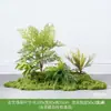 Planta Artificial Empilhada para Paisagismo Sob Escada, Samambaia & Pteri