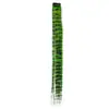 Extensiones de Cabello de Plumas Clip-in