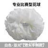 Pompones de Animación, Pompones de Mano, Pompones de Animación, Pompones de Animación, Pelotas de Animación, Flores de Mano de Animación, Accesorios de Baile