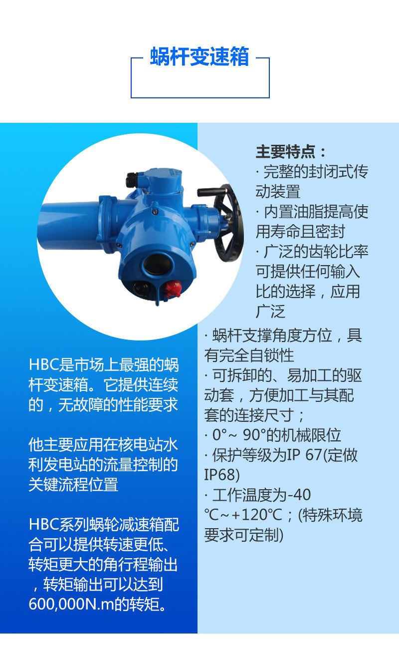 DZW-轻型+RS减速机-详情页_02.jpg