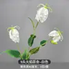 3 Flores de Lirio Simulación 3D Pequeño Libro Rojo Mismo recomendar Boda Decoración de Boda Flor Ventana Fotografía Paisaje