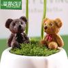 Fábrica de artesanías Chen Jun: micropaisaje de musgo, joyería, adorable muñeco de oso, combinación de adornos para armar uno mismo