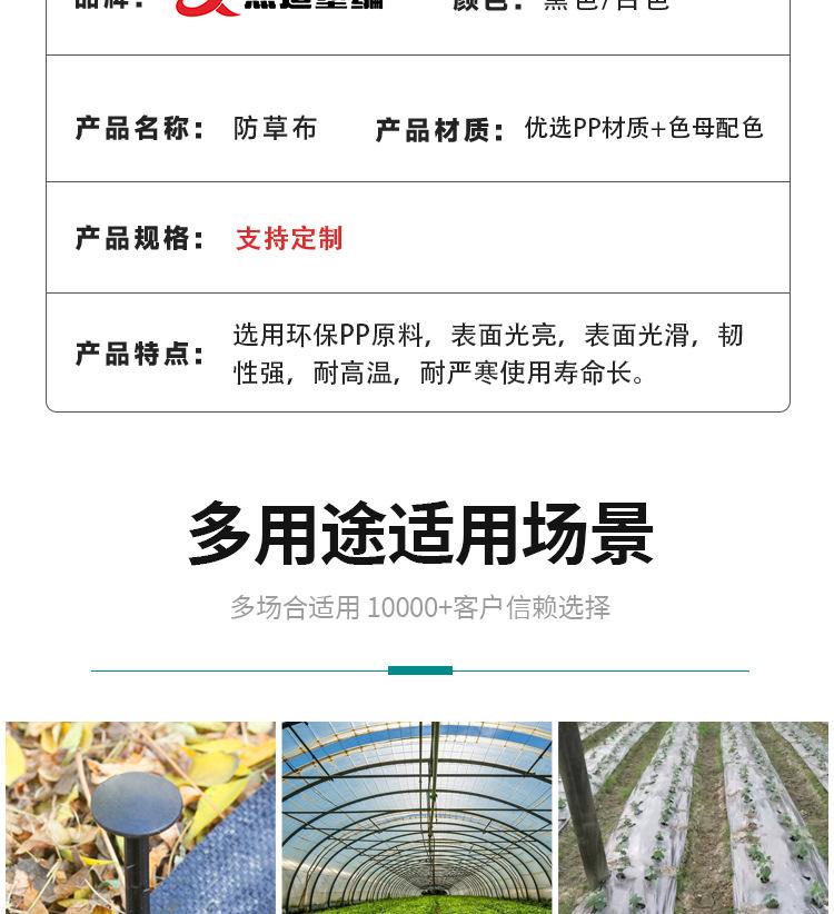 详情_10.jpg