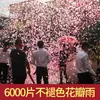 Coleção Completa de Artigos para Casamento, Fogos de Artifício para Casamento, Tubos de Fogos de Artifício, Tubos de Fogos de Artifício, Tubos de Fogos de Artifício, Tubos de Spray para Casamento, Chuva de Pétalas, Twist de Mão