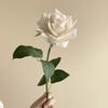 Boda color avanzado retro otoño rosa rosa floral arte flor real mano sentir flor hidratante flor de rosa flor simulación