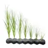 Plantas Artificiais de Grama de Cebola em Vasos, Plantas Verdes, Plantas Artificiais para Paisagismo, Flores Artificiais, Flores Artificiais para Arranjo de Cenas