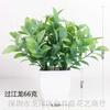 Plantas Simuladas de Venta Caliente Transfronteriza, Plantas Falsas, Plantas Verdes, Decoración Interior y Exterior Plástico Macetado Eucalipto Plantas Pequeñas en Maceta