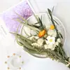 Moderno Sencillo ins Ramo de Flores Secas Naturales Marioneta para Abrazar Decoración del Hogar Adornos Creativos DIY para Sala de Estar