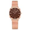 Comercio Exterior Moda Popular Reloj de Mujer Incrustado de Diamantes Reloj de Mujer Correa Milanesa Correa de Malla Reloj de Cuarzo Fabricante de Relojes de Mujer Stock Disponible