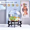 Aquário Pequeno, Tanque Transparente de Vidro Espessado para Tartaruga de Escritório, Tanque Mini Pequeno Redondo para Peixinhos Dourados de Mesa em Casa na Sala de Estar