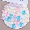 Polvo Brillante Cielo Estrellado de Ensueño Estrella de Cinco Puntas Tridimensional Funda para Teléfono Móvil Pendientes Pasador Joyería de Resina DIY Accesorios Venta al por Mayor
