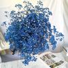 Atacado Gipsofila Flor Imortal Gipsofila Buquê de Flor Seca Material DIY Presente Dia das Mães Flor Presente Barraca de Rua