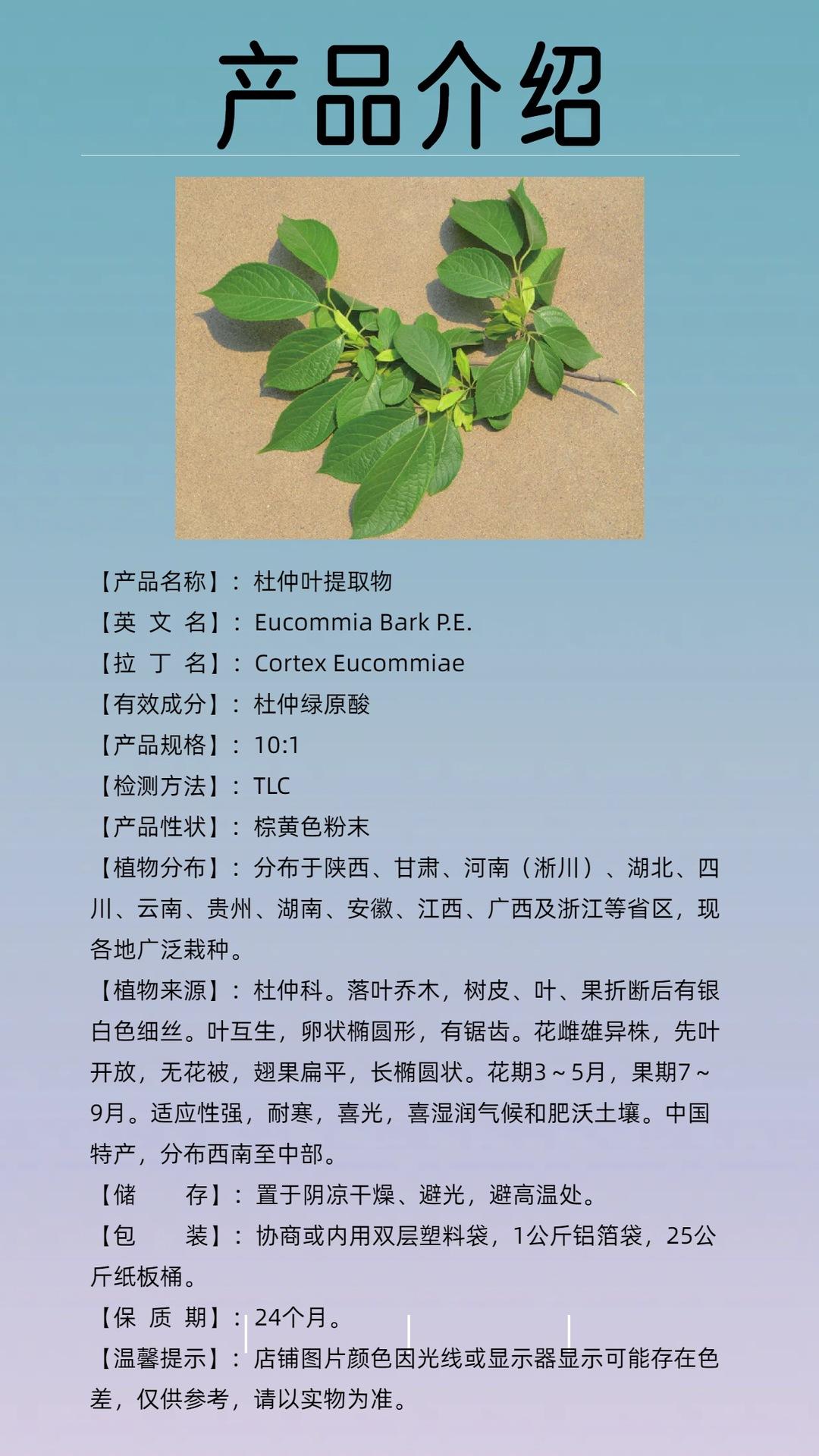 杜仲叶提取物