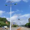 Proyecto prepago para nuevas áreas rurales: Farolas solares de doble cabeza con brazo alto y bajo, postes de farola de 6,8 m y 10 m