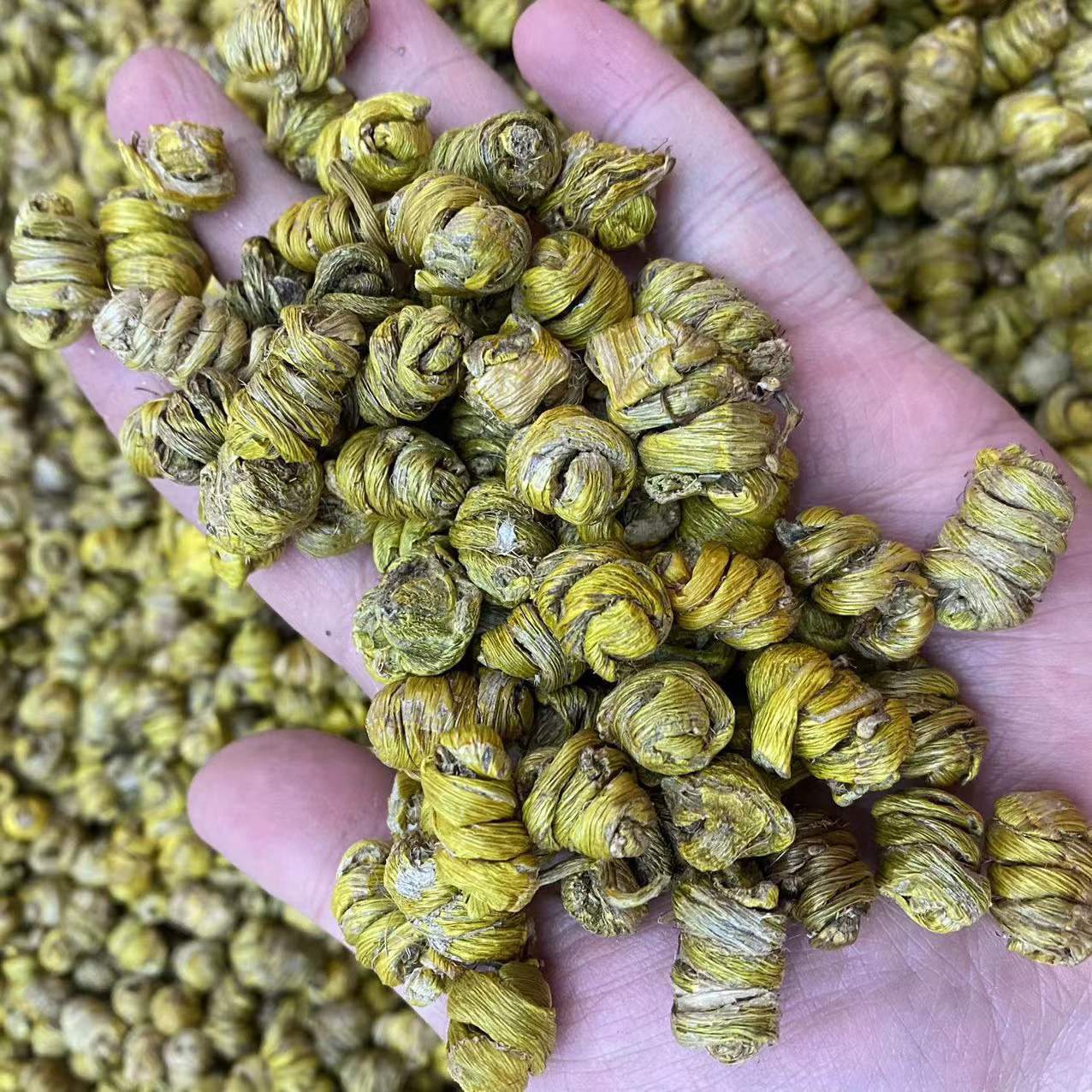 微信图片_20211220165501