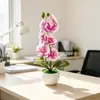 Maceta de onda nueva transfronteriza 7 orquídeas Phalaenopsis maceta de flores simulación decoración de fotografía de boda flores artificiales plantas pequeñas en maceta