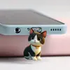 Protetor de Poeira para Celular Gato Raivoso Acrílico Popular Transfronteiriço 2D Pingente Tipo-C Fofo