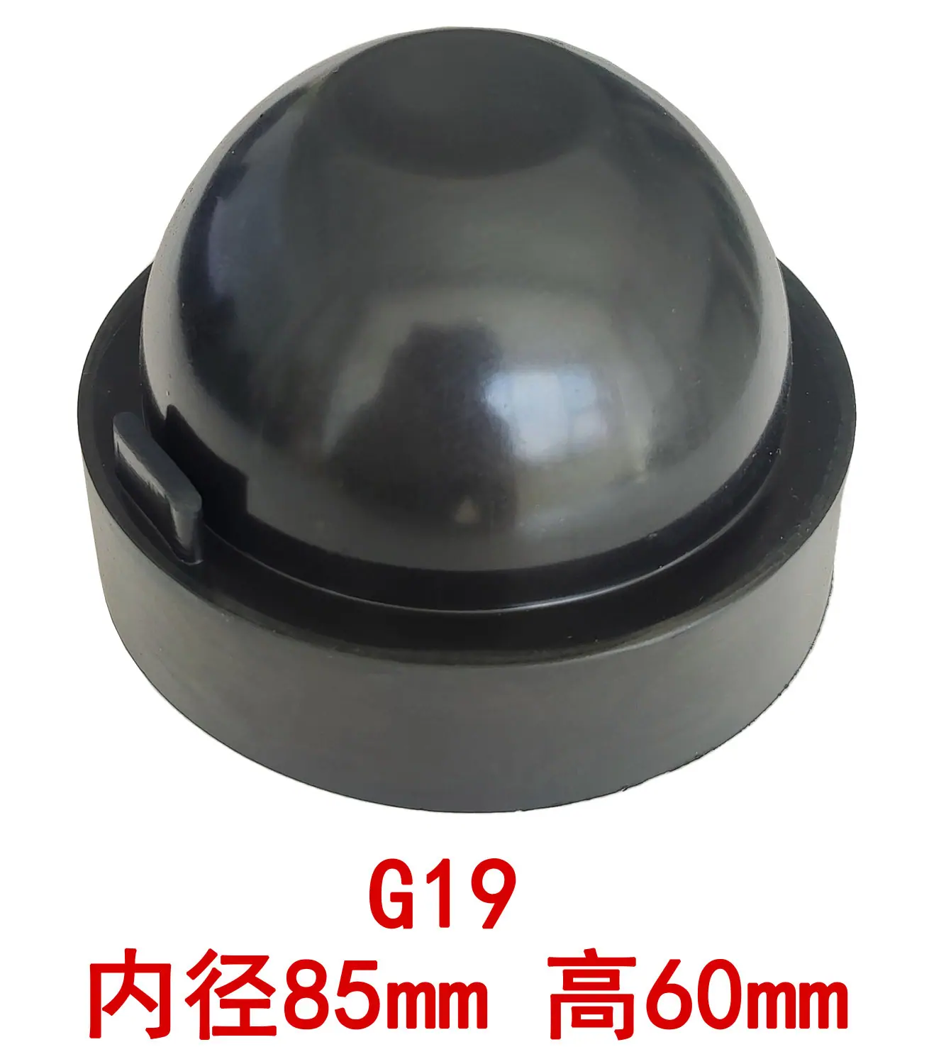 19主图.jpg