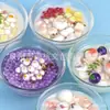 Imanes para Refrigerador de Cuenco de Imitación de Vidrio de Enfriamiento Creativo Premium, Frutas Blancas, Sopa de Miel, Pastillas Refrigerantes y Otras Decoraciones Interiores de Resina para Sopas Refrigerantes