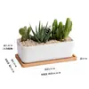 Dongheng Maceta de Animales Estilo Japonés y Coreano Maceta Mini Pulgar Adornos Set de Búho Cambio de Horno Maceta para Suculentas con Base
