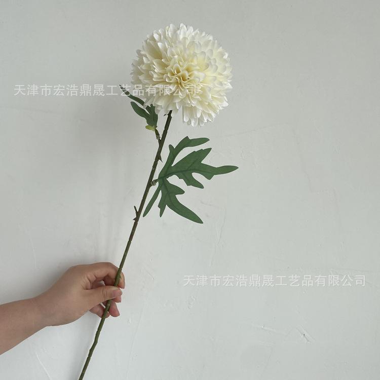 微信图片_202206141501373_副本