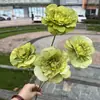 Fabricante de Flores Artificiales para Bodas Verdes Hortensia Verde Rosa Rocío de Golondrina Loto Bola de Cebolla Decoración Suave para Bodas Flor Artificial al por Mayor
