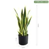 Nova planta artificial borda dourada pele de tigre orquídea sala de estar interior piso bonsai decoração paisagem bônica planta verde falsa bonsai