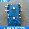 Kxh127 Sinalizador Sonoro e Luminoso Sinalizador Sonoro e Luminoso à Prova de Explosão e Intrinsecamente Seguro para Mineração