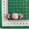 Accesorios para el Cabello de Caramelo Hinchado DIY Hechos a Mano Lazo de Puntos Accesorios para Ropa Pasadores para el Cabello de Niños Accesorios de Tela