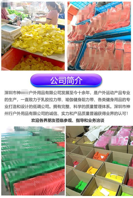 公司产品简介 (1)