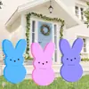 Placas de Natal para Jardim Transfronteiriças, Placas de Dia dos Namorados para Jardim em Placa Oca de PP, Placas Decorativas para Gramado, Placa de Plástico PP