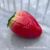 Frutas y Verduras Simuladas para Bocetos de Naturaleza Muerta de Estudiantes de Arte, Materiales Didácticos, Accesorios de Fotografía, Estudio de Arte de Frutas de Cera, Modelos de Frutas Falsas