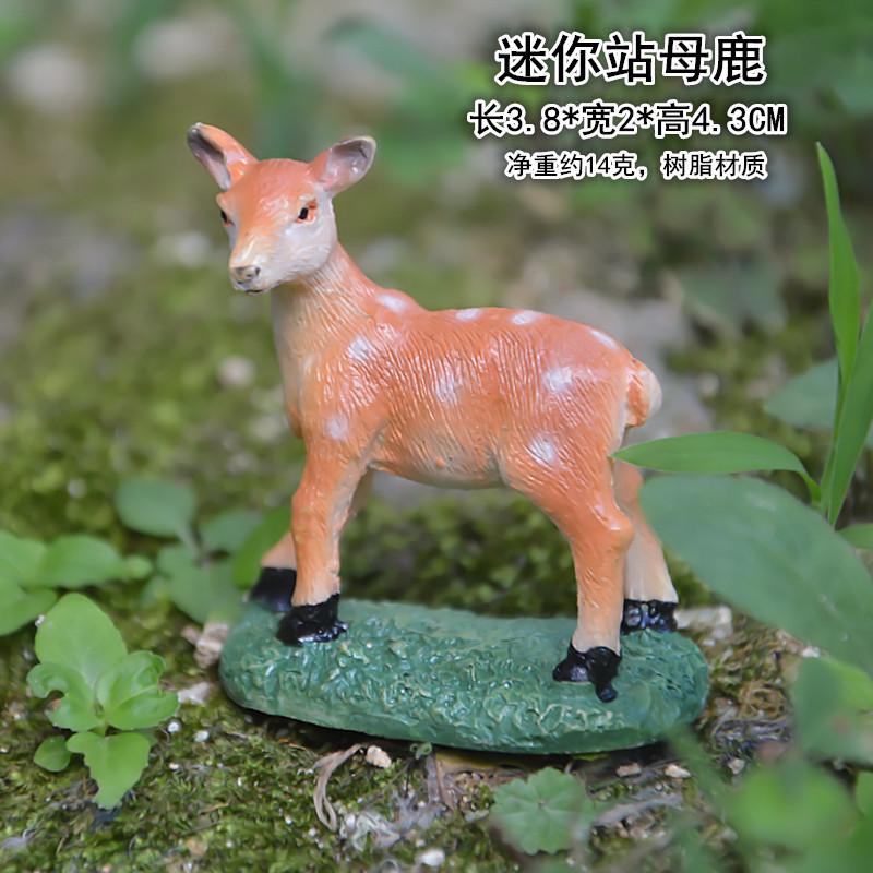 站着母鹿.jpg