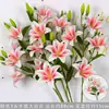 Flores Artificiales para Boda, Lirios Grandes 3D de Alta Gama, Flores Falsas de Plástico, Flores de Pegamento PU, Adornos de Orquídea Phalaenopsis, Decoración de Salón de Bodas
