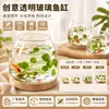 Vasos Hidropônicos de Vidro Cuidadosamente Selecionados, Garrafas Ecológicas Transparentes para Micro-Paisagismo, Tanque de Peixe Betta Redondo para Desktop com Base de Madeira DIY