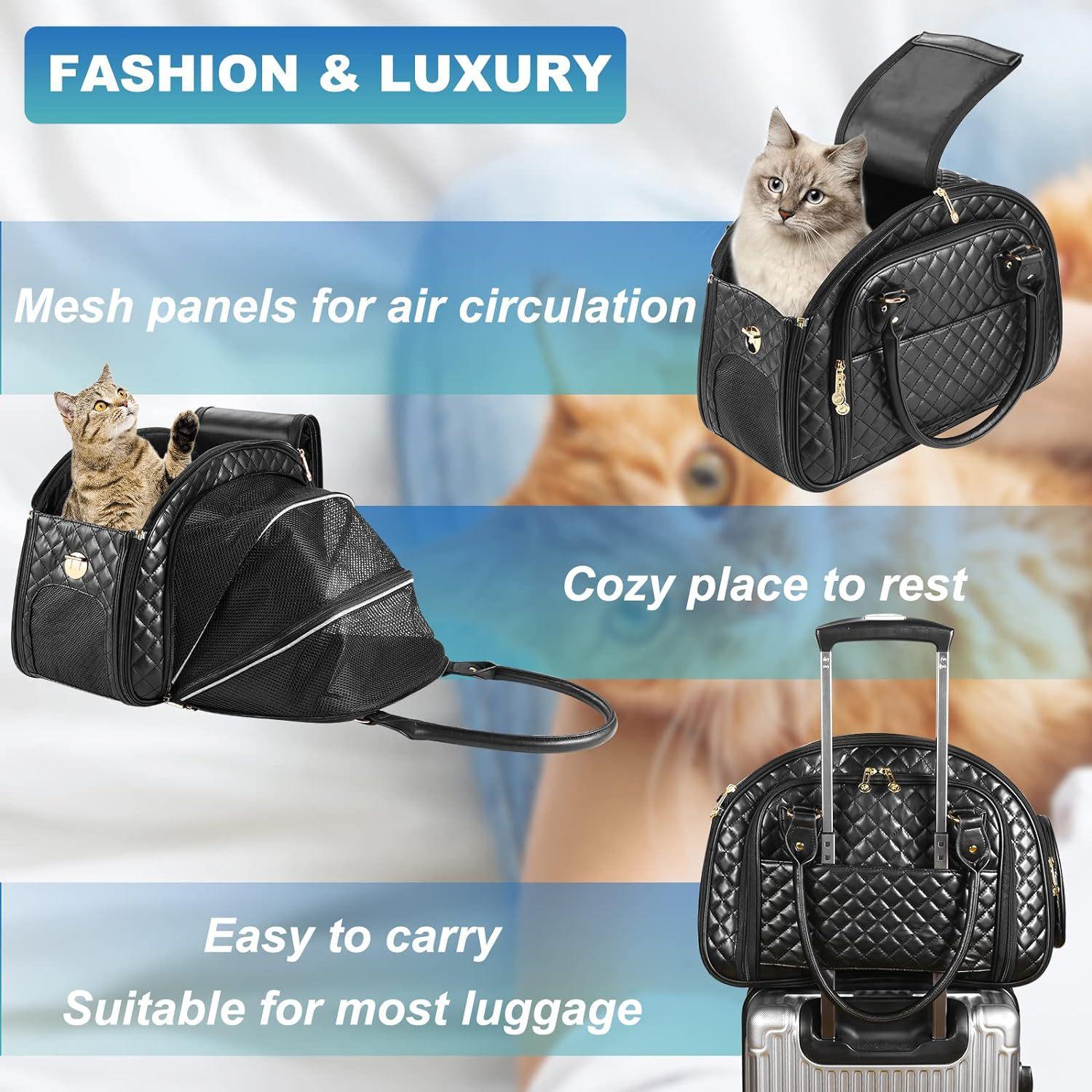 818zUY6ubiL._AC_SL1500_