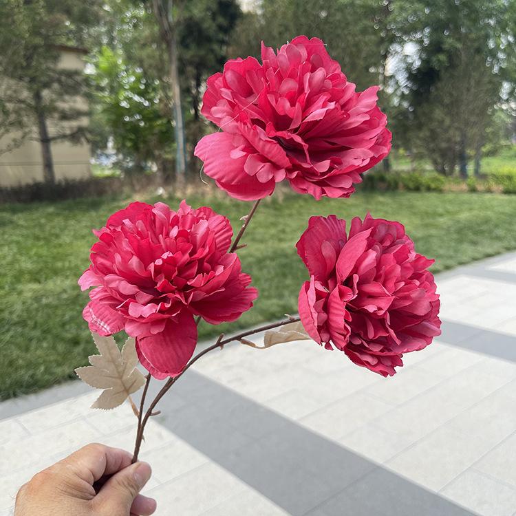 TeHui3大头涂层牡丹-sxzxx-玫红.JPG