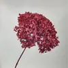 Yongsheng flor hoja Clase A Hortensia Anna color único material floral absorbente DIY sala de estar TikTok decoración en vivo