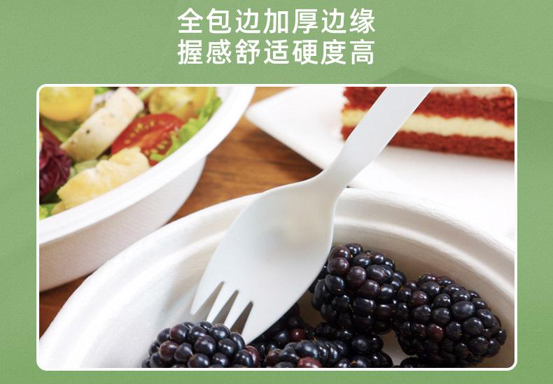 9-PLA叉勺.jpg