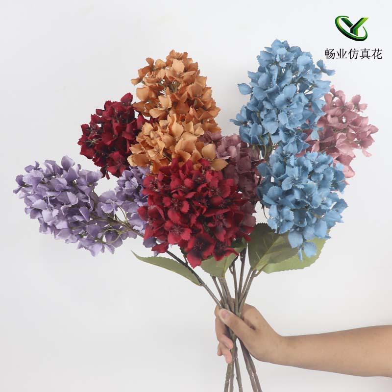 IMG_7398阿狸主图