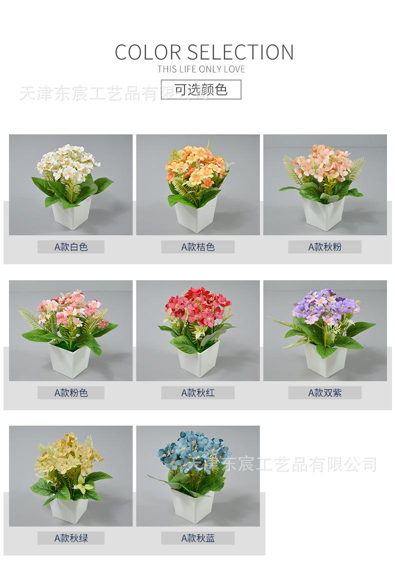 详情_02.jpg