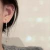 Nuevos Aretes Largos de Alto Temperamento 2024 Diseño Nicho para Mujer Estilo Frío Plata Rota Aretes de Moda
