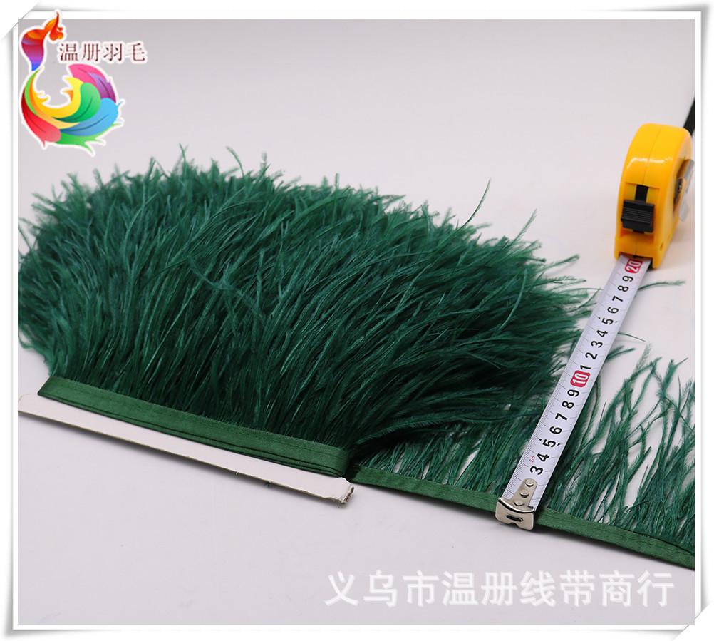 23 atrovirens ostrich feather
