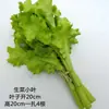 Modelo de Verdura Simulada Lechuga Falsa Repollo Brócoli Hojas Verdes Hojas de Shanghái Modelo de Gabinete Decoración para Casa