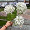 Flores de simulação para casa de alta qualidade fabricantes de comércio exterior 3 toque de cola macia madeira hortênsia verde decoração de casamento flores artificiais atacado