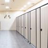 Superficie Metálica Superficie de Aluminio Superficie de PVC Panal de Aluminio Panel Divisor de Baño Tablero de PVC HPL Anti-Mordeduras Tablero Impermeable Cabina de Ducha