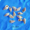 Concha Natural Perfurada com Furo Concha DIY Pingente Brincos Colar Sino de Vento Material DIY