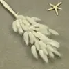 Flores Secas, Cola de Conejo, 60 Piezas/Manojo, Ramo de Lujo Ligero, Adornos de Flores Reales, Pequeño Ramo de Flores Eternas Regalo, Materiales de Flores Reales