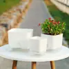 Vasos de Flores de Plástico para Pessoas Preguiçosas, Vasos de Flores Autoirrigáveis, Vasos Simples de Imitação de Cerâmica para Plantas Verdes, Suculentas, Hidroponia Indoor, Vasos de Flores com Reservatório de Água